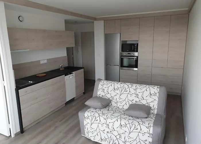 Apartment Le P'tit Beneze Royan